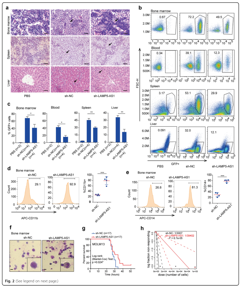 LC-MS/MS蛋白質(zhì)譜鑒定、LC-MS/MS、質(zhì)譜鑒定