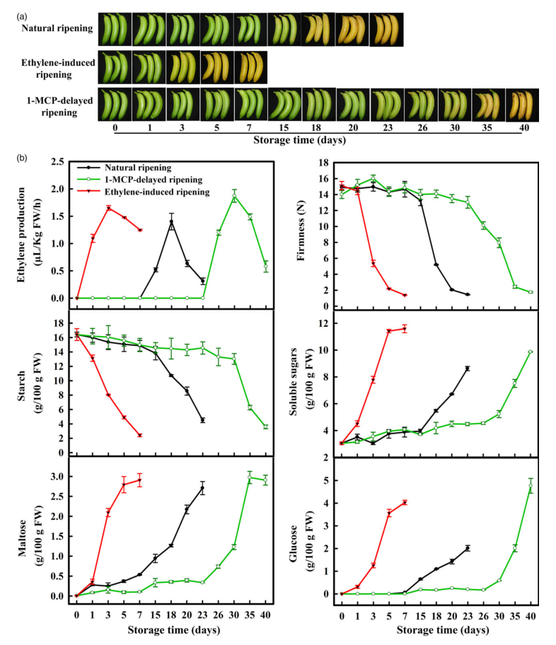 iTRAQ蛋白質(zhì)組學(xué)分析、itraq實(shí)驗(yàn)服務(wù)、iTRAQ技術(shù)