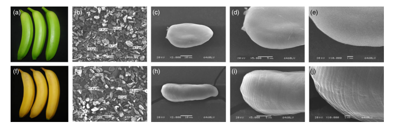 iTRAQ蛋白質(zhì)組學(xué)分析、itraq實(shí)驗(yàn)服務(wù)、iTRAQ技術(shù)