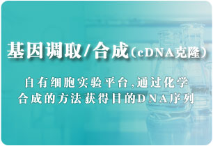 基因調取/合成(cDNA克隆)