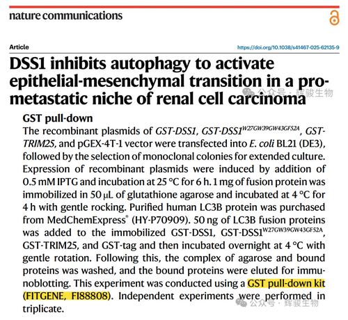 輝駿生物GST pull-down試劑盒—pulldown文獻(xiàn)客戶應(yīng)用案例.png